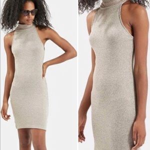 Topshop Turtleneck Sweater Dress
